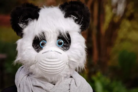 Pronto Kasino Podpora